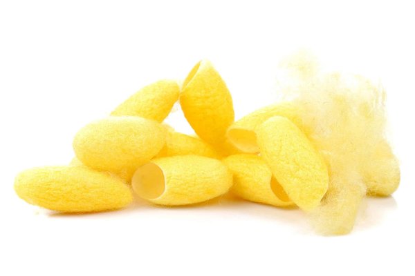 5 conseils pour créer une ambiance cocooning dans votre salon