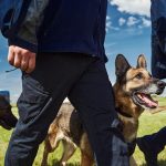 comment-la-detection-canine-peut-vous-aider-a-lutter-contre-les-punaises-de-lit